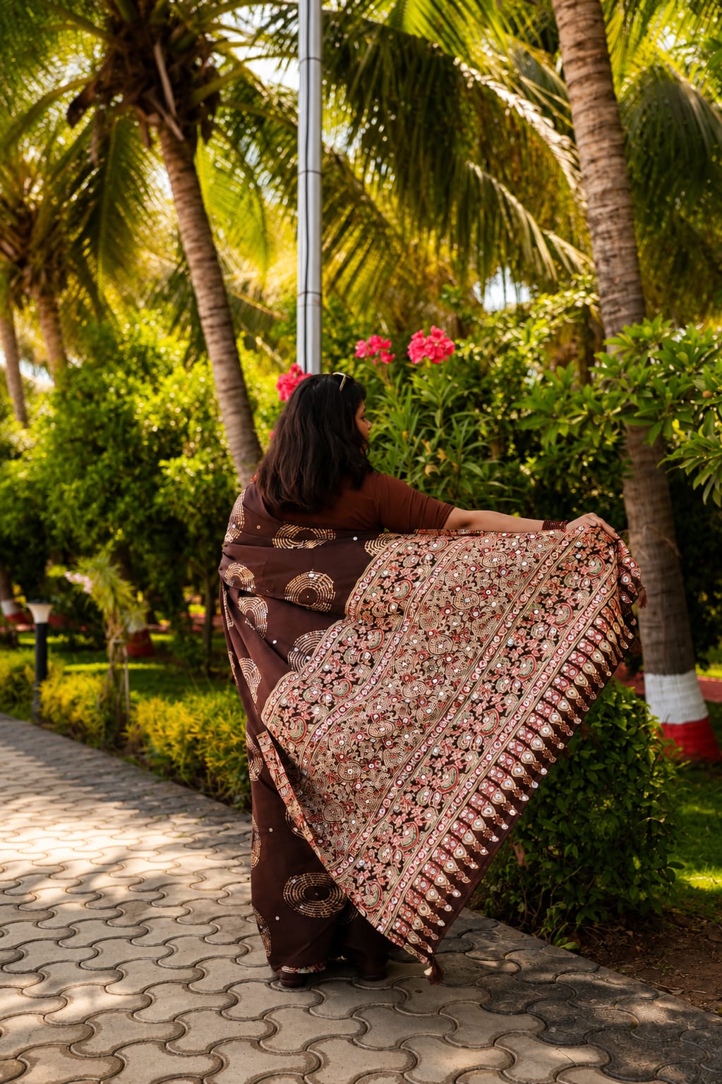 Noor (Black & Brown) Saree