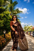 Noor (Black & Brown) Saree